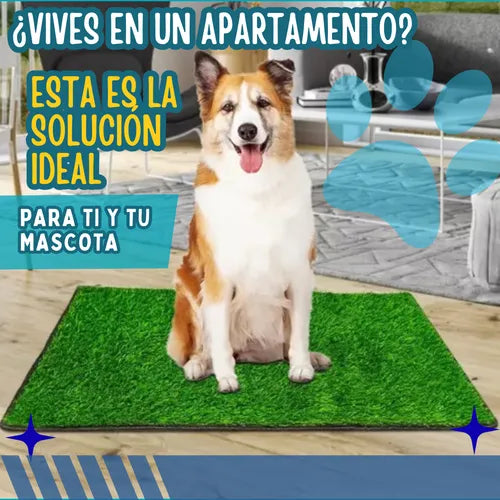 Tapete Baño Entrenador Para Mascotas